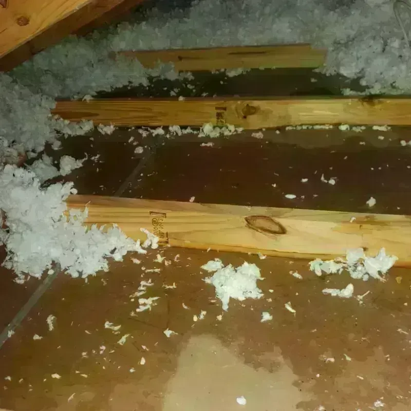 Attic Water Damage in Dover, VT